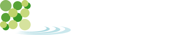 いずみ総合法律事務所
